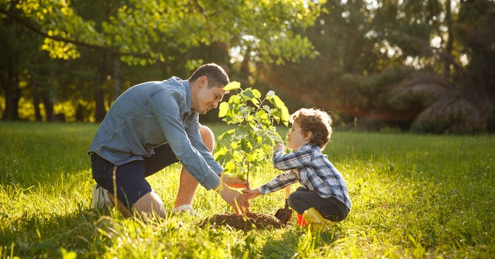 What does it mean to be a steward of nature?