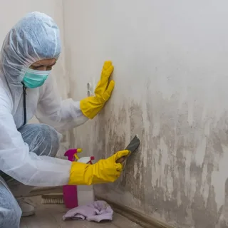 Mold Removal Commack NY