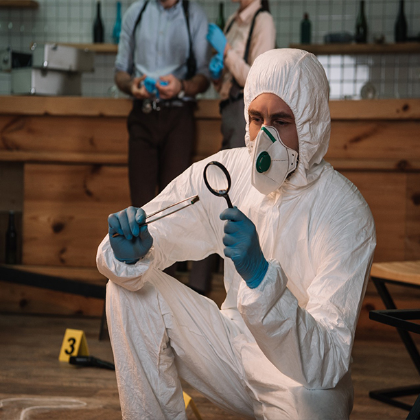 Mold Detection Union NJ