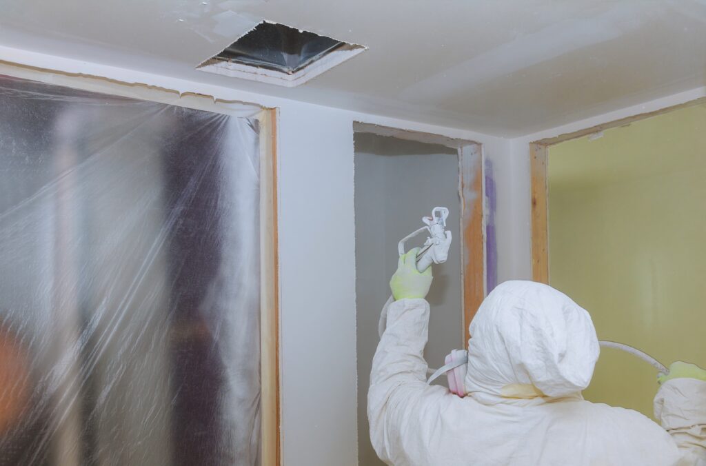Mold Removal Manhattan